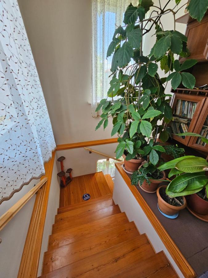 Tamari Guest House Telavi Extérieur photo