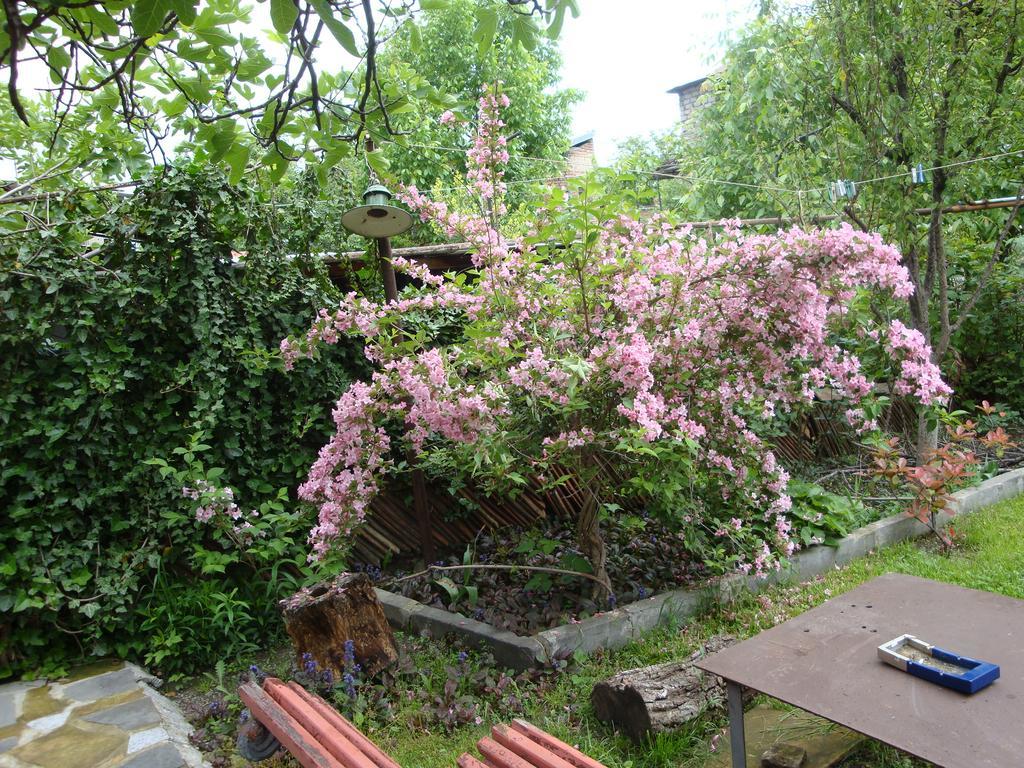 Tamari Guest House Telavi Extérieur photo